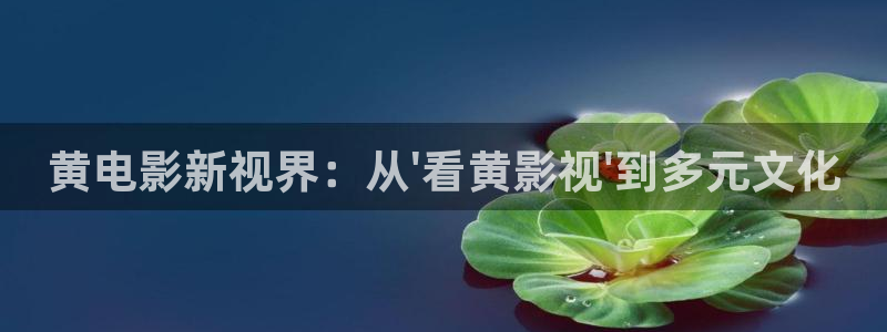 丝瓜视频破解版网址：黄电影新视界：从\'看黄影视\'到多元文化