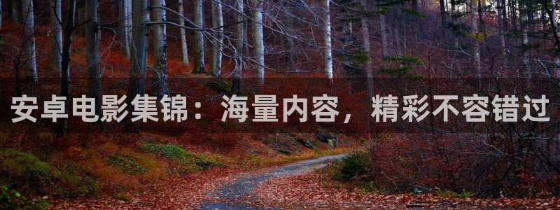 丝瓜视频在观看：安卓电影集锦：海量内容，精彩不容错过