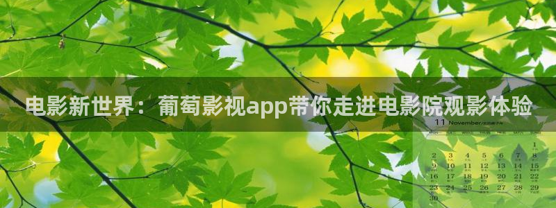 丝瓜视频色在线：电影新世界：葡萄影视app带你走进电影院观影体验
