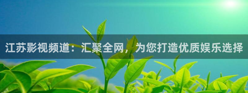 91丝瓜视频在线观看：江苏影视频道：汇聚全网，为您打造优质娱乐选择