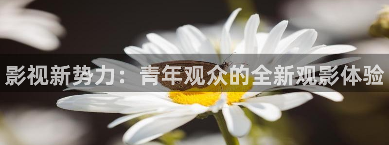 丝瓜视频超污版：影视新势力：青年观众的全新观影体验