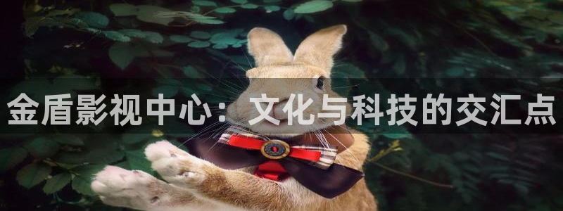 丝瓜视频簧片：金盾影视中心：文化与科技的交汇点