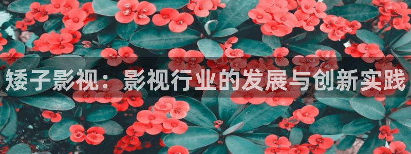 丝瓜视频污版下载：矮子影视：影视行业的发展与创新实践