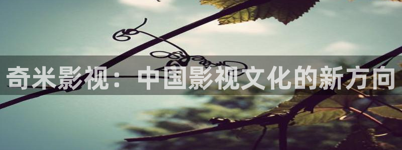 丝瓜影视破解版：奇米影视：中国影视文化的新方向