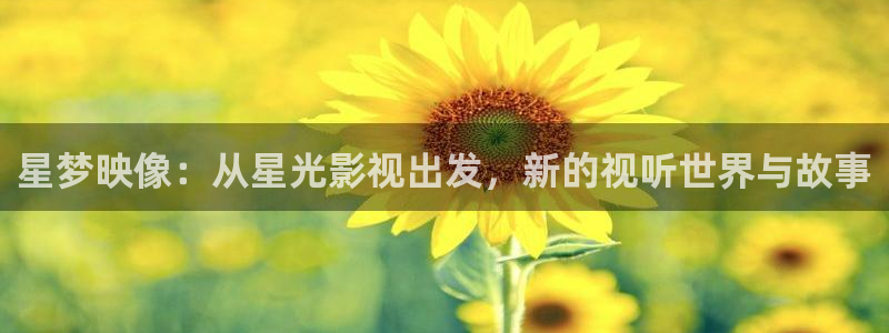 丝瓜视频十八岁严禁：星梦映像：从星光影视出发，新的视听世界与故事