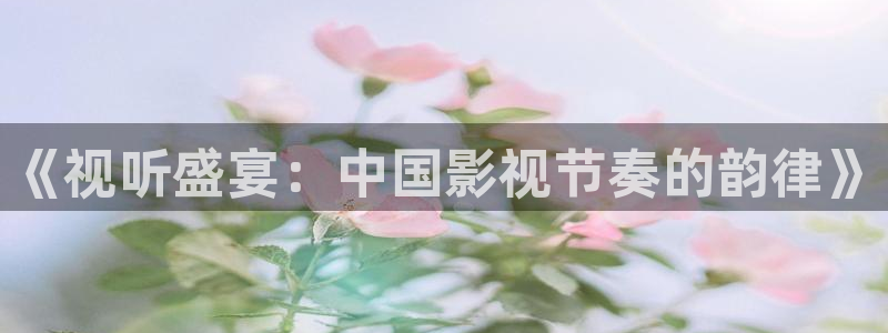 麻豆丝瓜视频：《视听盛宴：中国影视节奏的韵律》